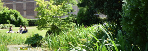 Small banner photo of green space